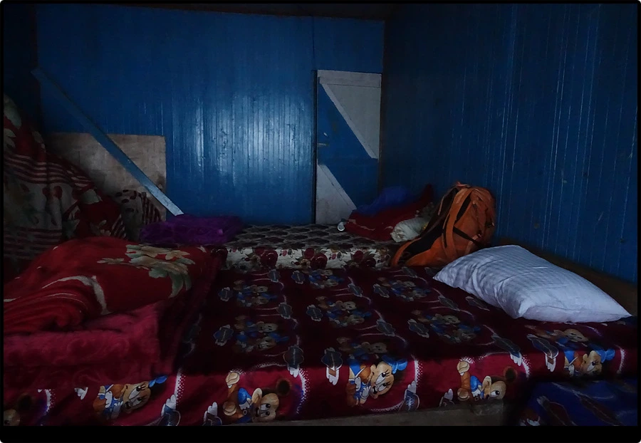 DSC00795.jpg?type=w966