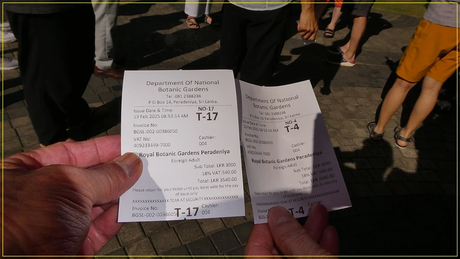 P1011241.jpg?type=w966