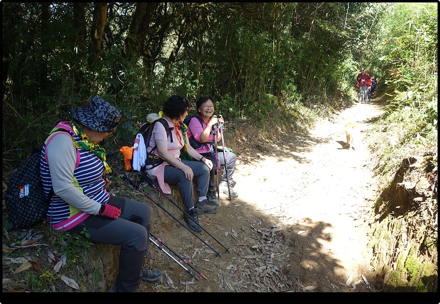 DSC00766.jpg?type=w966