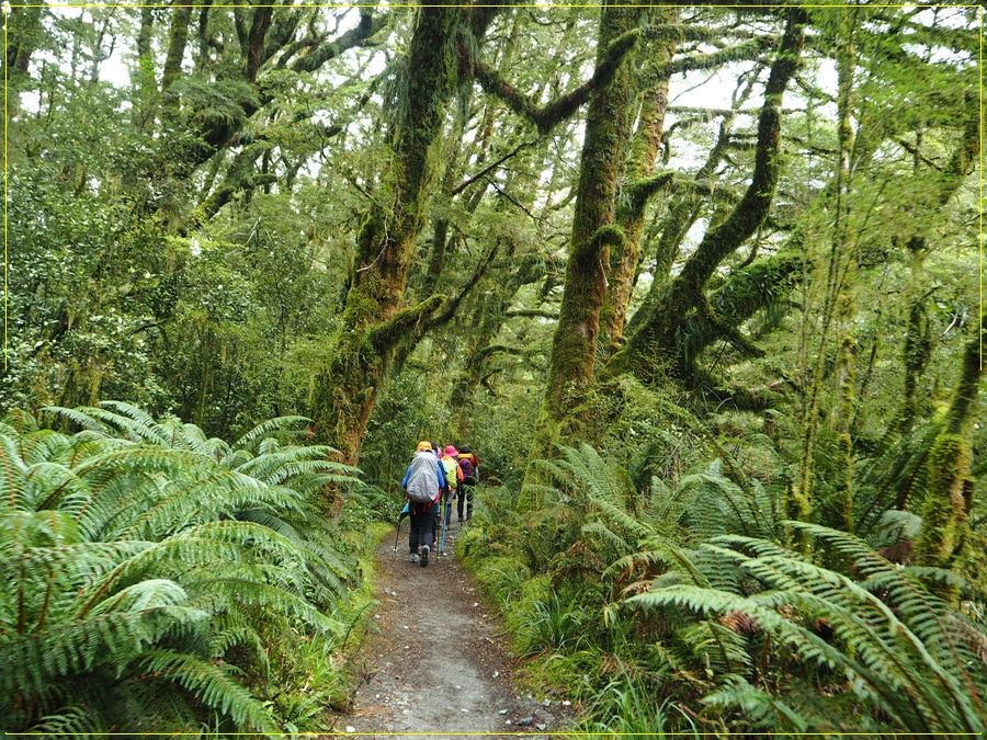 33.jpg?type=w966&jopt=2