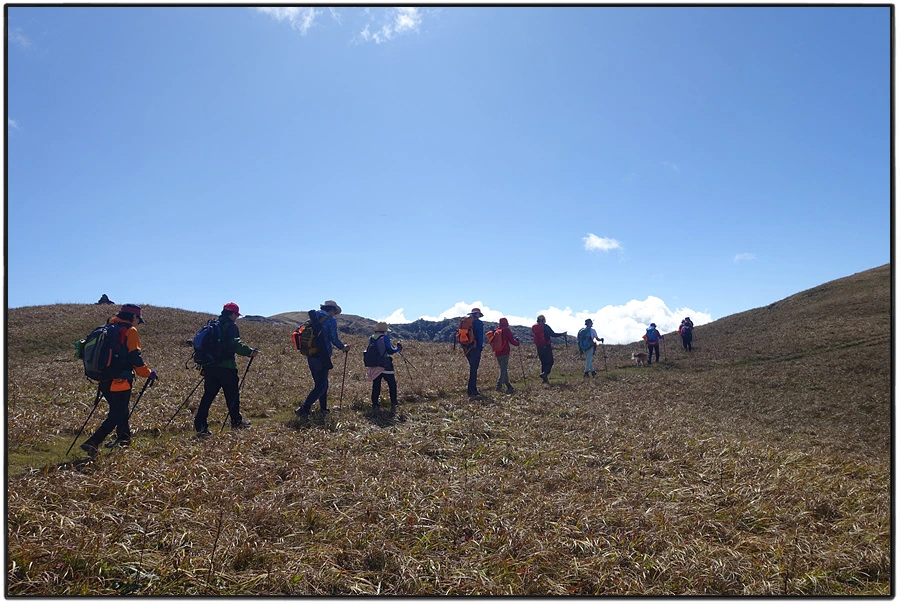 DSC01053.jpg?type=w966