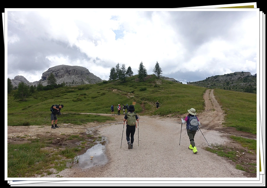 DSC00287.jpg?type=w966&jopt=2