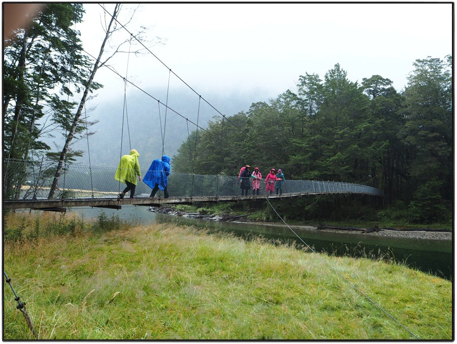 32.jpg?type=w966&jopt=2