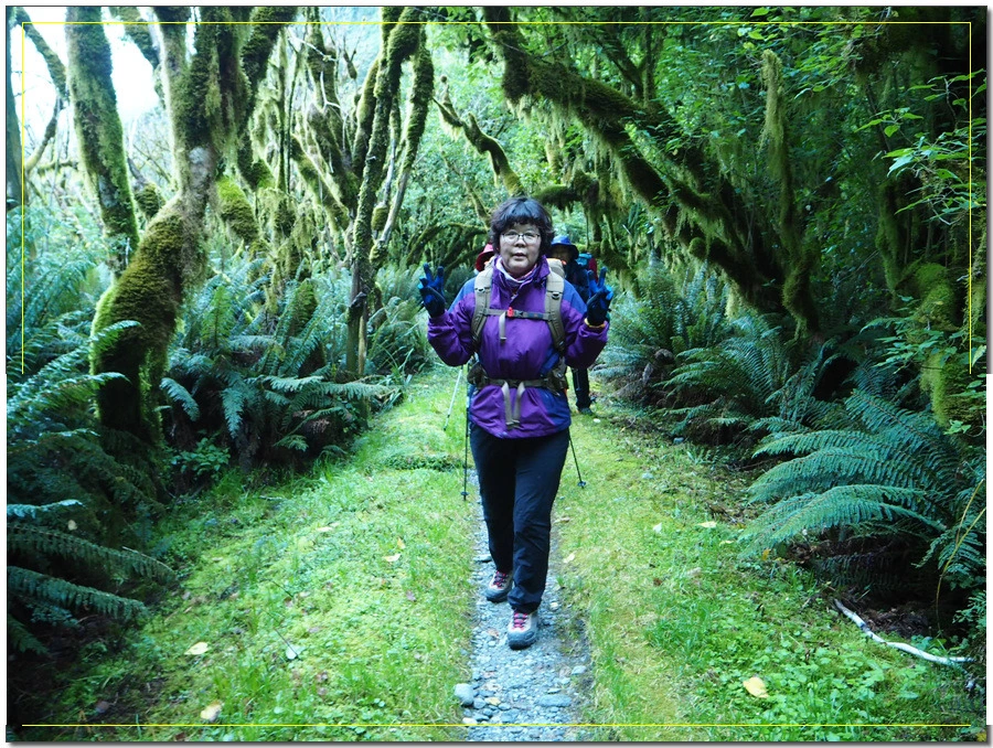 5.jpg?type=w966&jopt=2