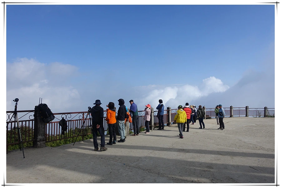 DSC01357.jpg?type=w966