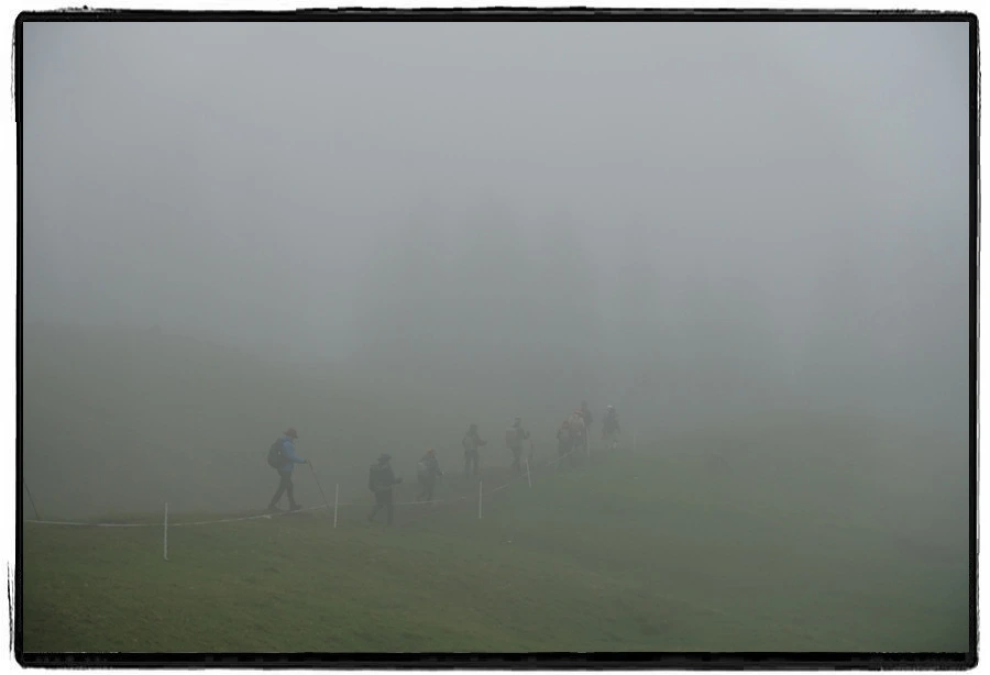 DSC00134.jpg?type=w966&jopt=2