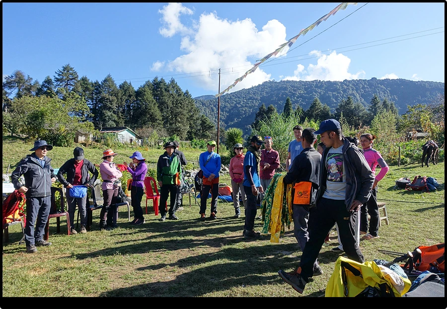 DSC00733.jpg?type=w966