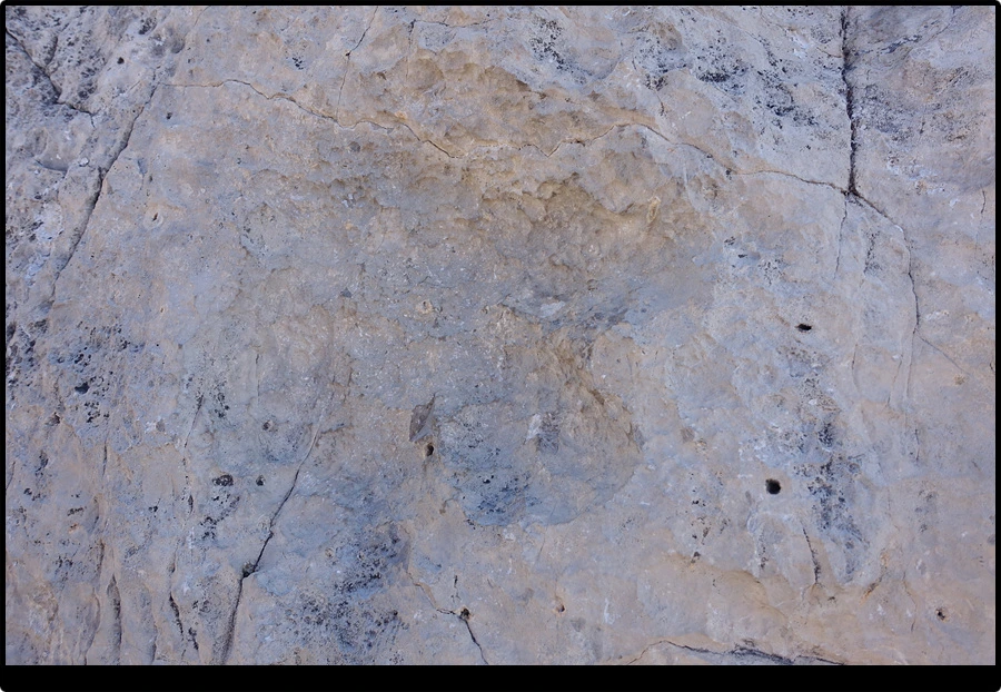 DSC00063.jpg?type=w966&jopt=2