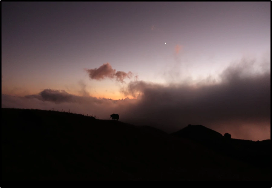 DSC00799.jpg?type=w966