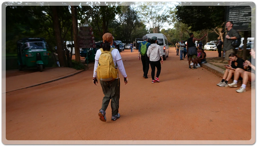 P1011125.jpg?type=w966