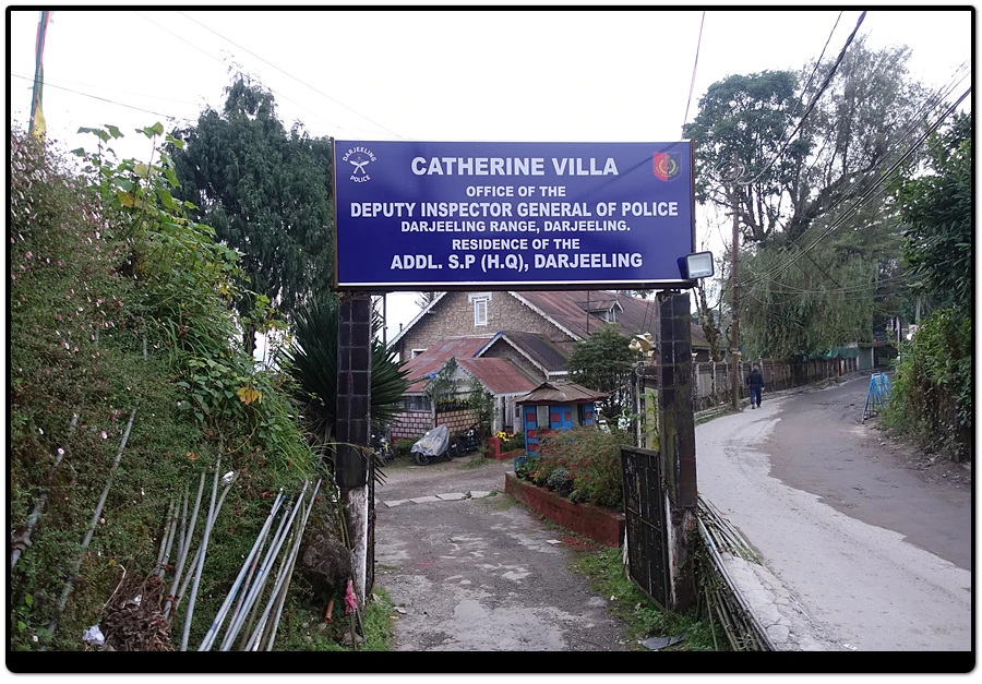 DSC01328.jpg?type=w966