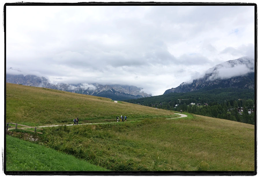 DSC00061.jpg?type=w966&jopt=2