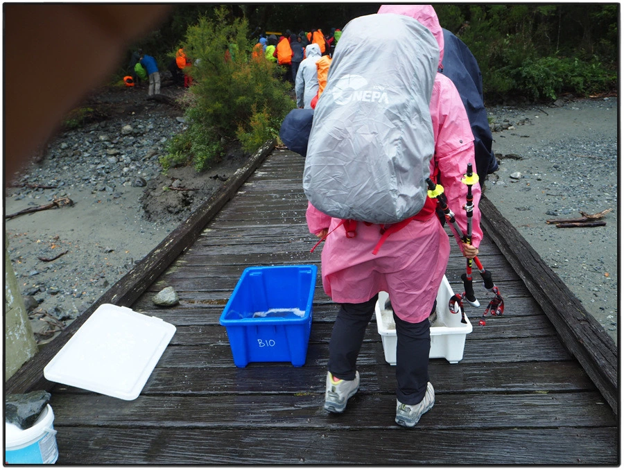 19.jpg?type=w966&jopt=2