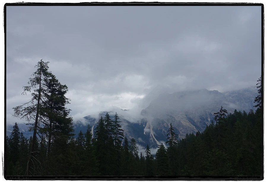 DSC00196.jpg?type=w966&jopt=2