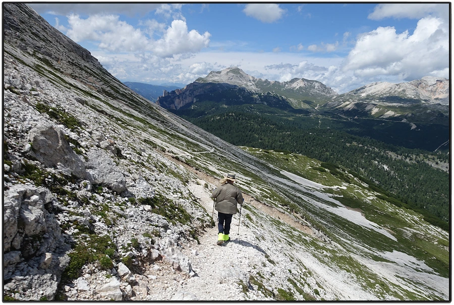 DSC00266.jpg?type=w966&jopt=2