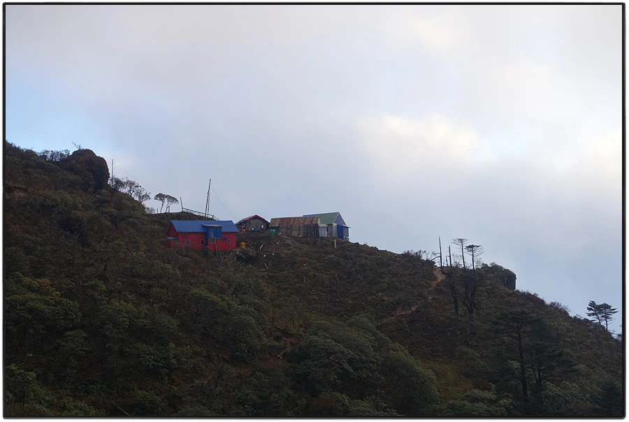 DSC01110.jpg?type=w966