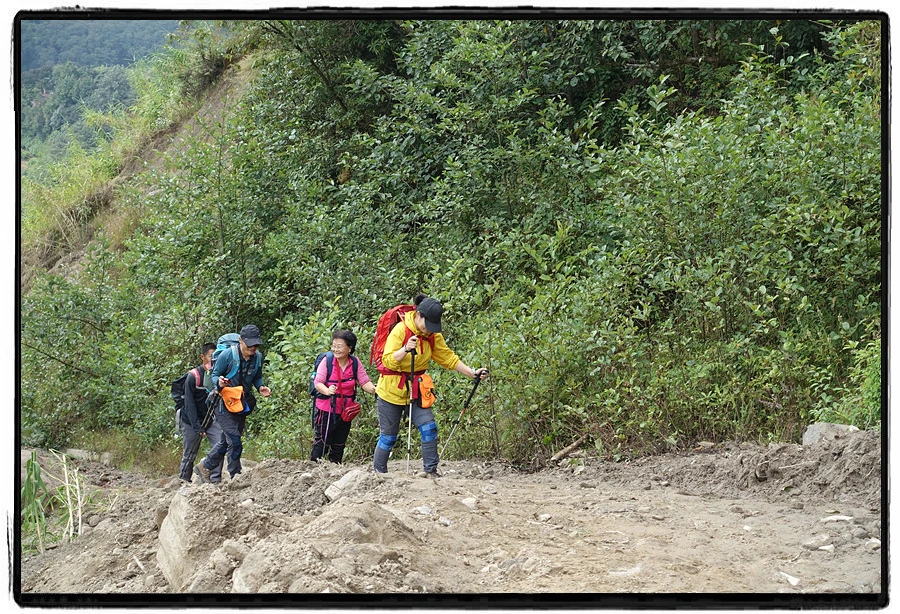 DSC00537.jpg?type=w966