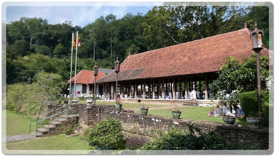 P1011178.jpg?type=w966