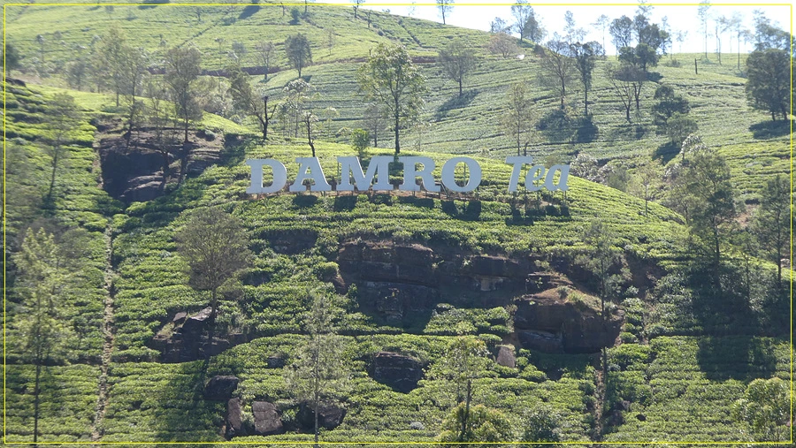 P1011373.jpg?type=w966