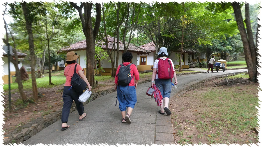 P1010950.jpg?type=w966