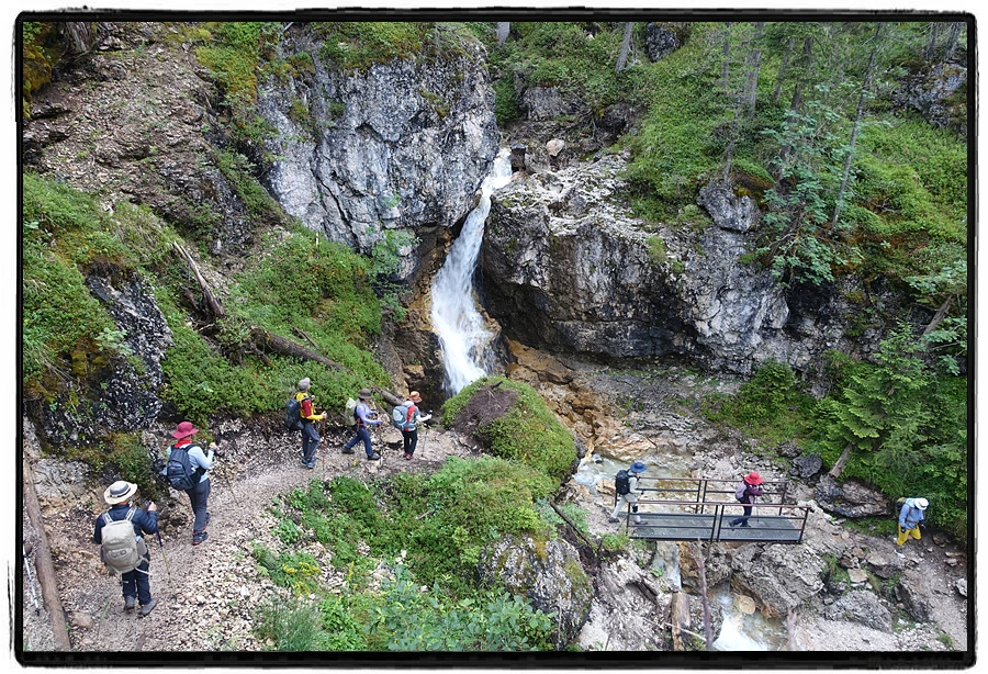 DSC00179.jpg?type=w966&jopt=2