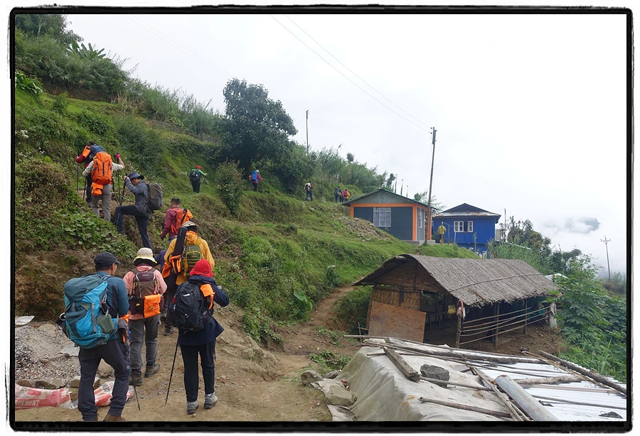 DSC00593.jpg?type=w966