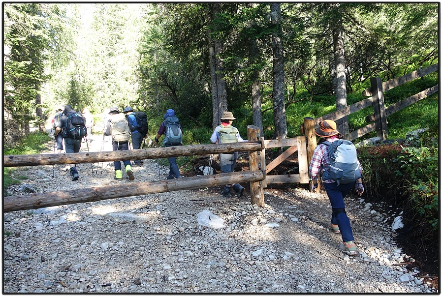 DSC00078.jpg?type=w966&jopt=2