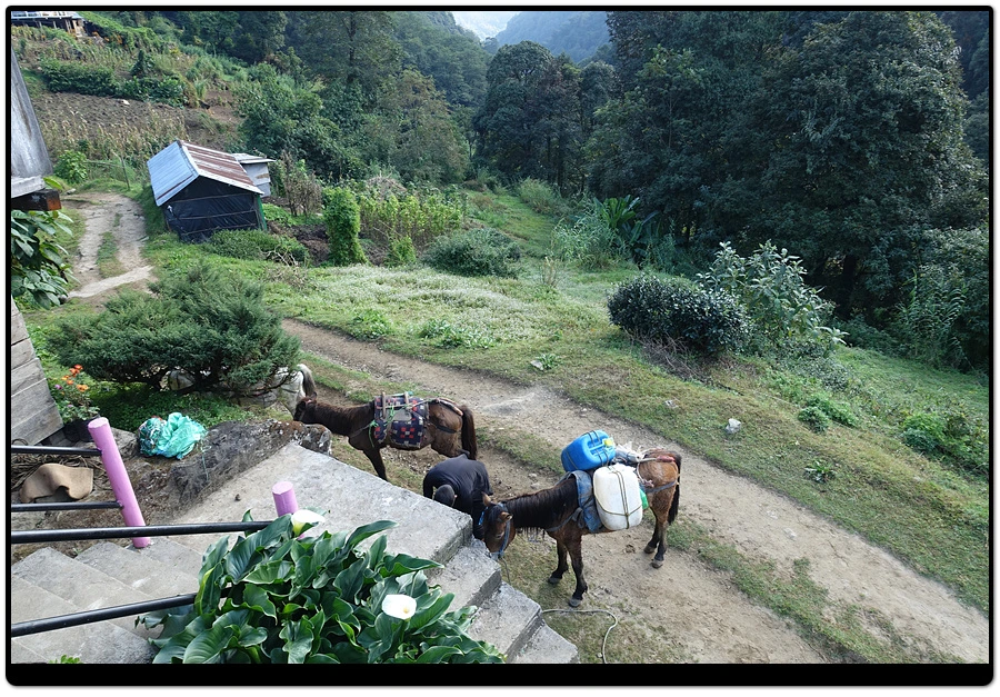 DSC01243.jpg?type=w966