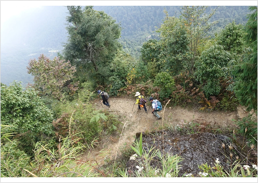 DSC01206.jpg?type=w966