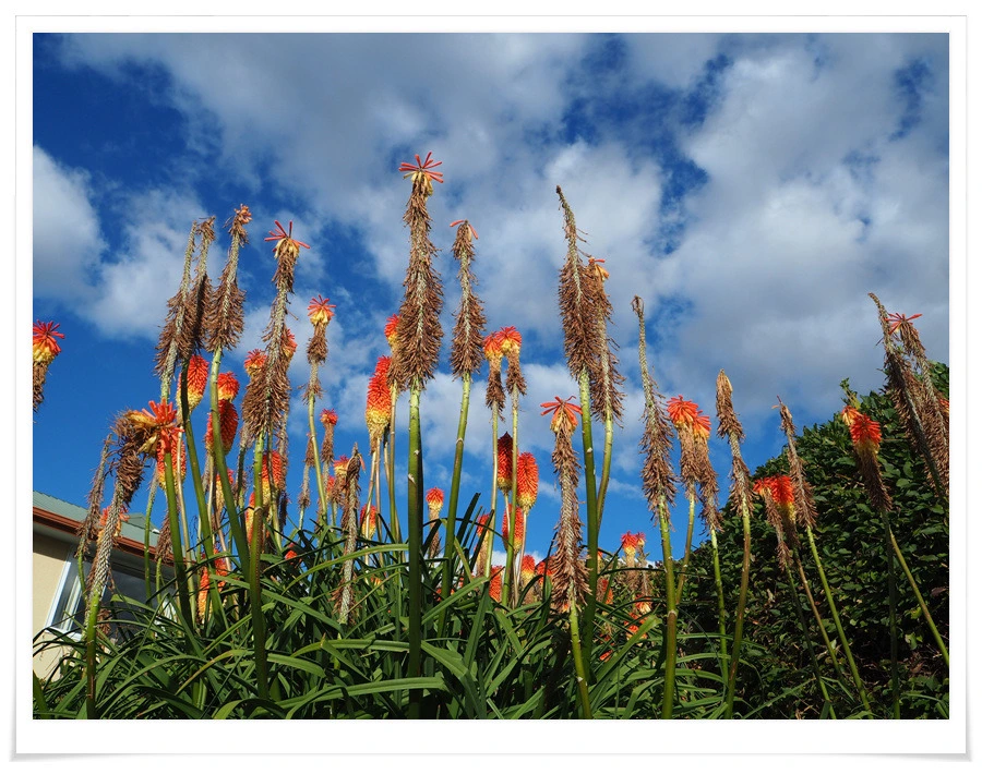 30.jpg?type=w966&jopt=2