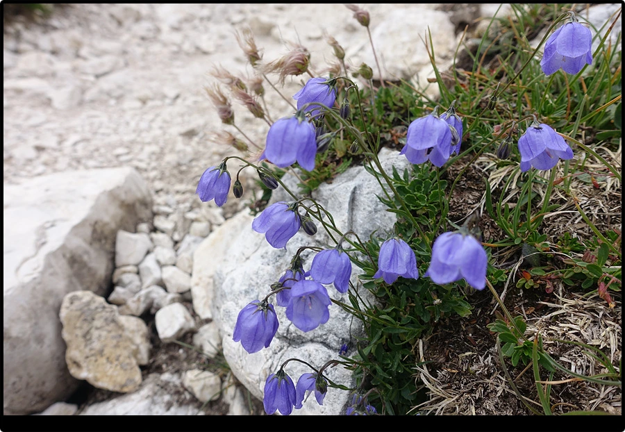 DSC00325.jpg?type=w966&jopt=2