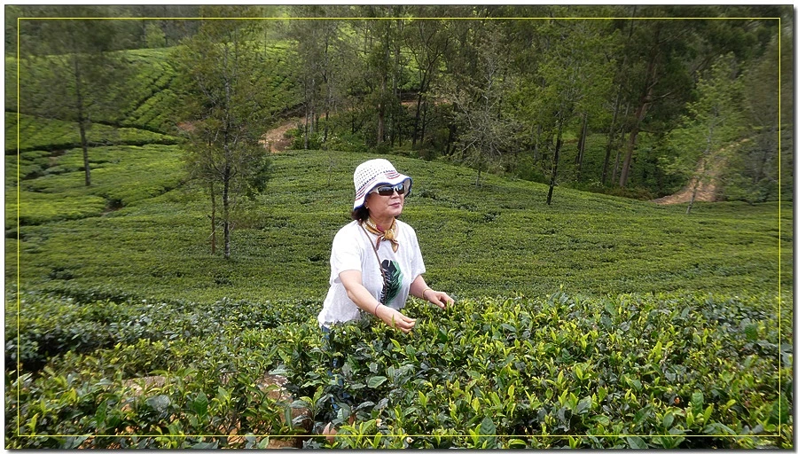 P1011626.jpg?type=w966