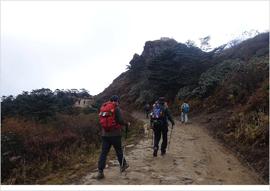 DSC01186.jpg?type=w966