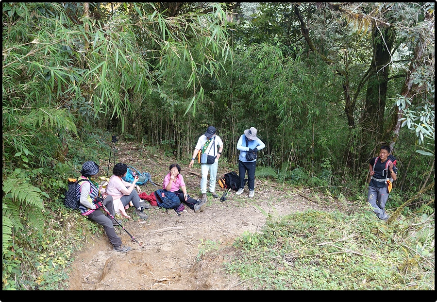 DSC00773.jpg?type=w966