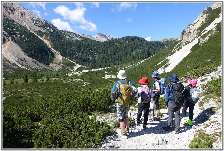 DSC00136.jpg?type=w966&jopt=2