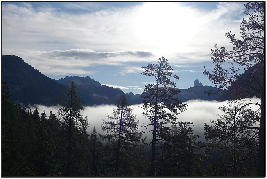 DSC00071.jpg?type=w966&jopt=2