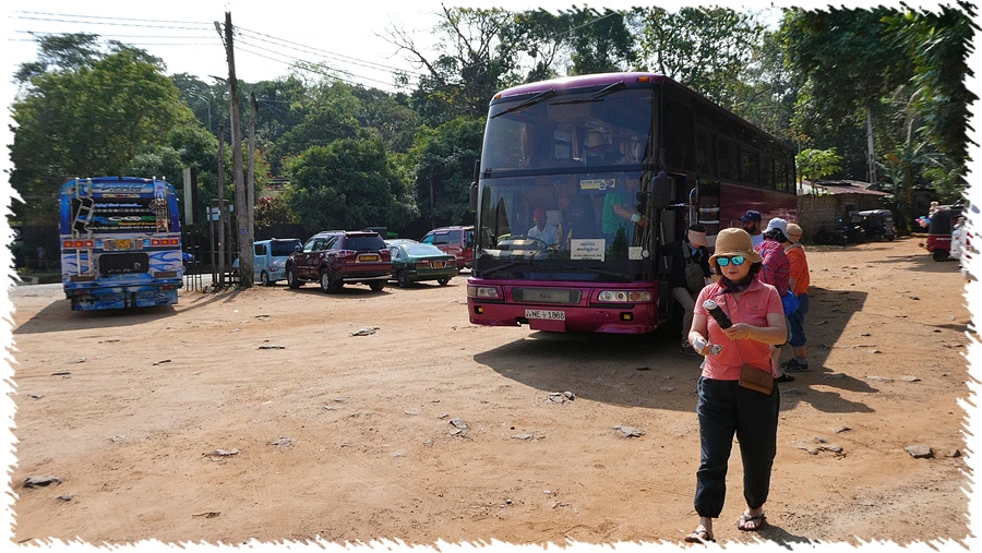 P1010834.jpg?type=w966