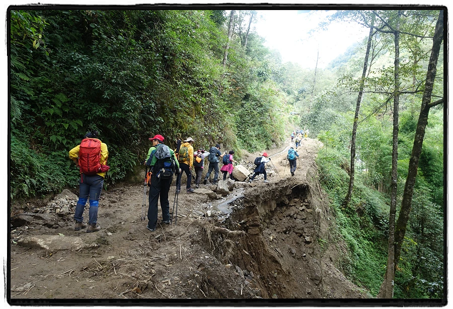 DSC00526.jpg?type=w966