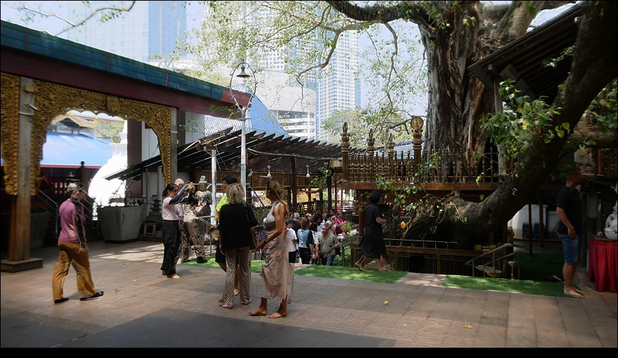 P1022216.jpg?type=w966