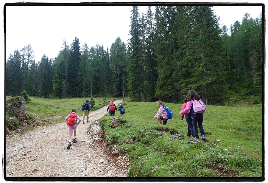 DSC00119.jpg?type=w966&jopt=2