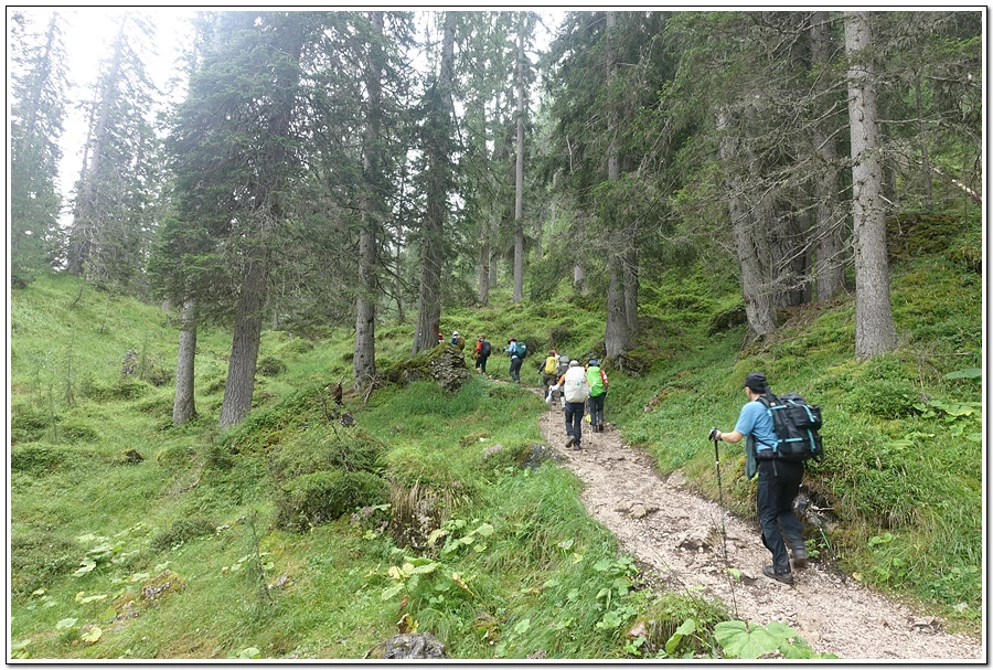 DSC00140.jpg?type=w966&jopt=2