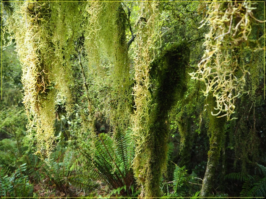 11.jpg?type=w966&jopt=2