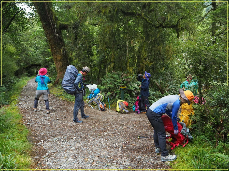 14.jpg?type=w966&jopt=2