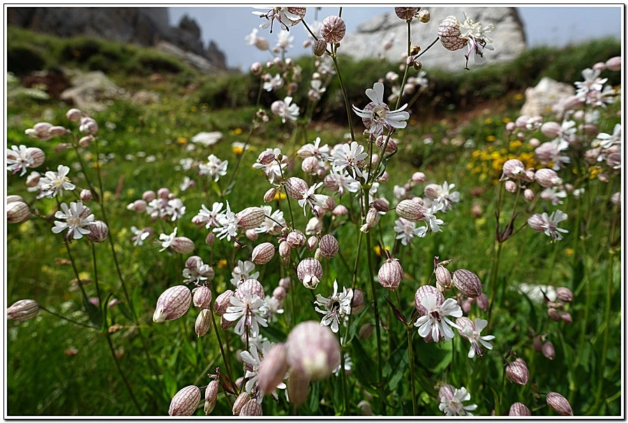 8.jpg?type=w966&jopt=2