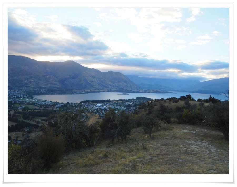 40.jpg?type=w966&jopt=2