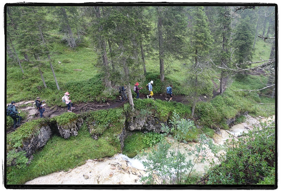 DSC00140.jpg?type=w966&jopt=2