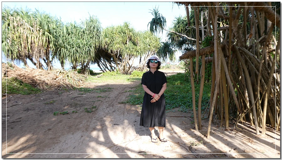 P1022130.jpg?type=w966