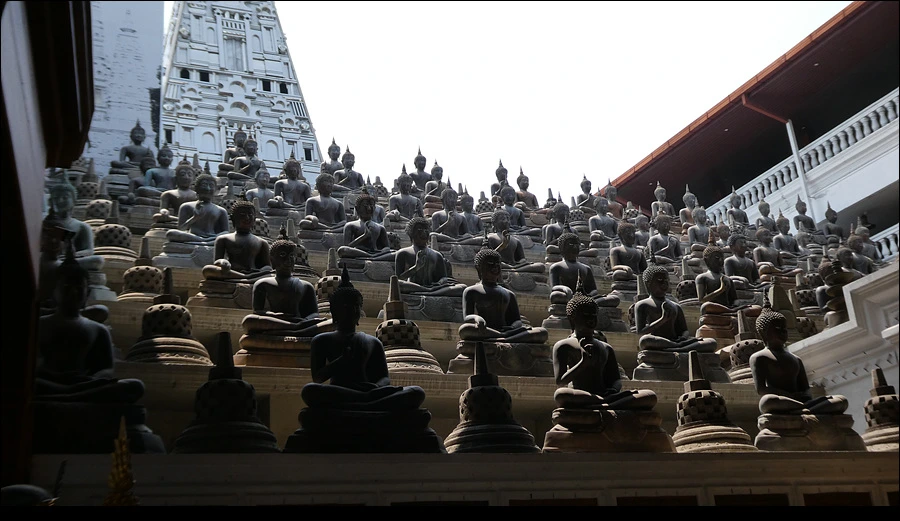 P1022218.jpg?type=w966