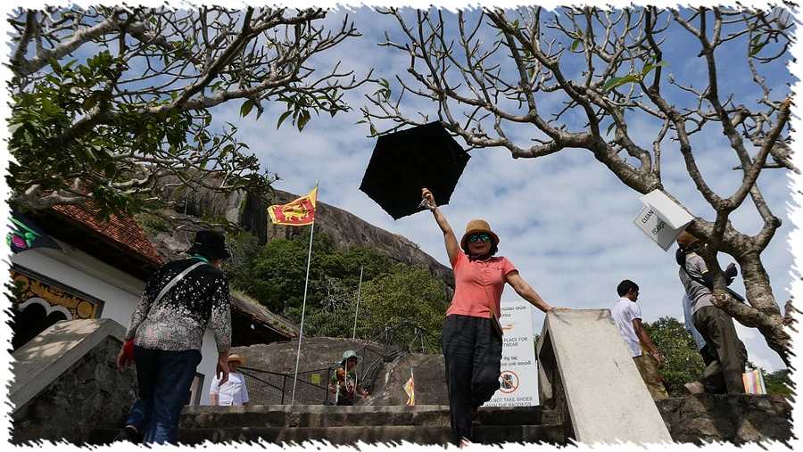 P1010871.jpg?type=w966