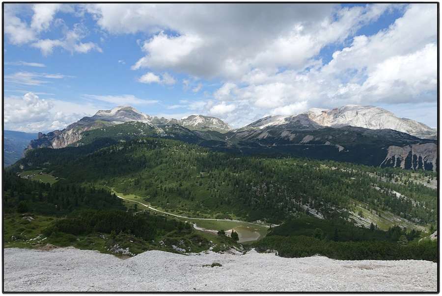 DSC00219.jpg?type=w966&jopt=2